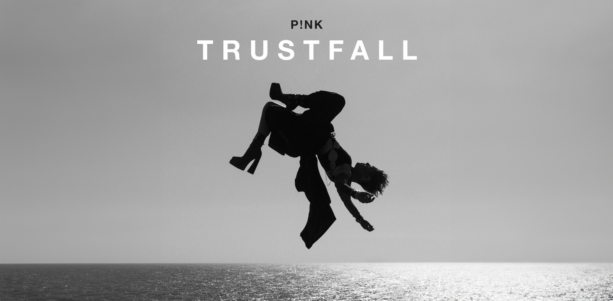Trustfall